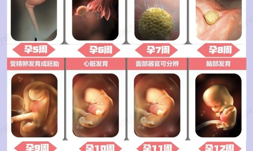 孕妇能吃真良鱼吗-孕妇能吃真良鱼吗-孕妇能吃真良鱼吗早期,中国孕妇能吃真良鱼吗网站