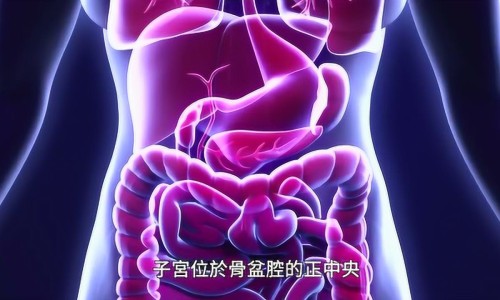 孕妇能吃真良鱼吗-孕妇能吃真良鱼吗早期,中国孕妇能吃真良鱼吗网站