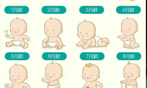 天津格林国际幼儿园学费-孕妇能吃真良鱼吗-孕妇能吃真良鱼吗早期,中国孕妇能吃真良鱼吗网站